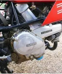 Ducati Pantah 500 Desmo, Perfetta, tagliandata