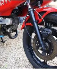 Ducati Pantah 500 Desmo, Perfetta, tagliandata