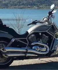 HARLEY-DAVIDSON VRSCAW Custom cc 1250 HARLEY-DAVIDSON VRSCAW Custom cc 1250