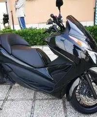 HONDA Forza PASSAGGIO E GARANZIA INCLUSO