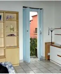 Appartamento di 2 locali in Affitto Appartamento di 2 locali in Affitto