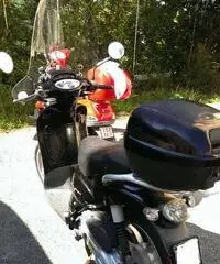 Aprilia SCARABEO 50 4 tempi 2010 Aprilia SCARABEO 50 4 tempi 2010