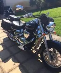 maestosa Suzuki Vl800 , custom maestosa Suzuki Vl800 , custom