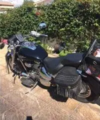maestosa Suzuki Vl800 , custom maestosa Suzuki Vl800 , custom