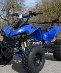 MINIQUAD 125cc 4 TEMPI PREDATOR TELECOMANDO QUAD MINI SUPER OFFERTE MINIQUAD 125cc 4 TEMPI PREDATOR TELECOMANDO QUAD MINI SUPER OFFERTE