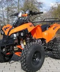 MINIQUAD 125cc 4 TEMPI PREDATOR TELECOMANDO QUAD MINI SUPER OFFERTE MINIQUAD 125cc 4 TEMPI PREDATOR TELECOMANDO QUAD MINI SUPER OFFERTE