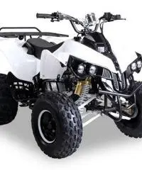 MINIQUAD 125cc 4 TEMPI PREDATOR TELECOMANDO QUAD MINI SUPER OFFERTE MINIQUAD 125cc 4 TEMPI PREDATOR TELECOMANDO QUAD MINI SUPER OFFERTE