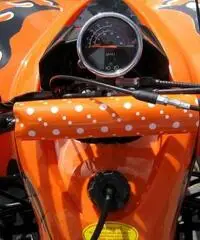 MINIQUAD 125cc 4 TEMPI PREDATOR TELECOMANDO QUAD MINI SUPER OFFERTE MINIQUAD 125cc 4 TEMPI PREDATOR TELECOMANDO QUAD MINI SUPER OFFERTE
