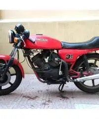 Morini 350 Sport - 1982 Morini 350 Sport - 1982