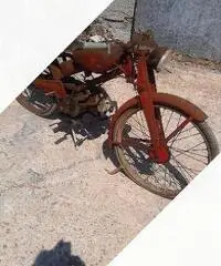 Moto Guzzi Altro modello - Anni 50 Moto Guzzi Altro modello - Anni 50