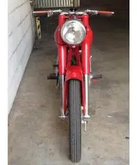 Moto Perugina 175 GT del 1953 Aermacchi MV Augusta Moto Guzzi