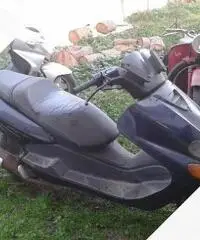 Yamaha Majesty 150 - 1999