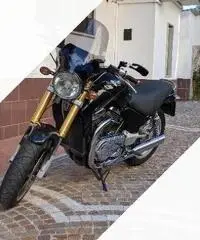 Sachs Roadster 800 - 2006 Sachs Roadster 800 - 2006