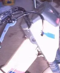 Atala master LL 50cc