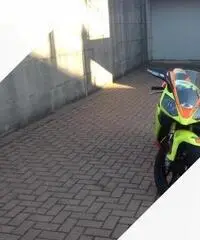 Derbi 50 GPR RACING Derbi 50 GPR RACING