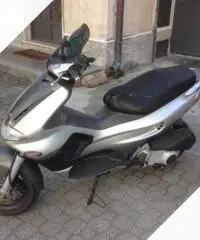 Gilera runner Gilera runner