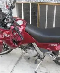 Pegaso 650 Pegaso 650