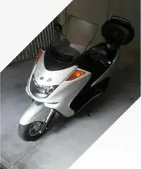 Yamaha Majesty 250 - 2000 Yamaha Majesty 250 - 2000