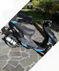 Malaguti phantom f12