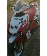 F15 Firefox Ducati Corse 2007 F15 Firefox Ducati Corse 2007