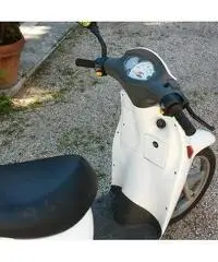 MALAGUTI Ciak Scooter cc 50