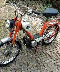 Motorino Bobo 50 Benelli