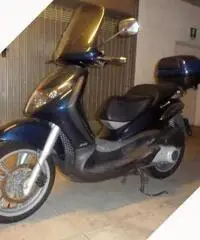 Piaggio Beverly 250 - 2006 Piaggio Beverly 250 - 2006