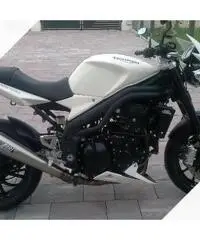 Triumph Speed Triple - 2008 Triumph Speed Triple - 2008