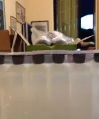 Batteria nuova x scooter/moto