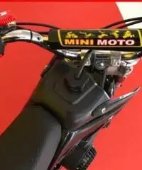 AF MOTOR Minicross 50 cc rosso/nero - 1 AF MOTOR Minicross 50 cc rosso/nero - 1