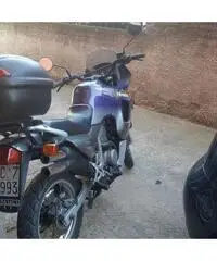 Honda transalp Honda transalp