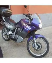 Honda transalp Honda transalp