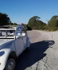 2cv restaurata a nuovo