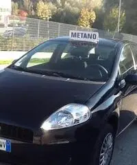 Fiat Punto 1.4 8V 5 porte Natural Power Young