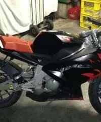 Aprilia rs 50 Aprilia rs 50
