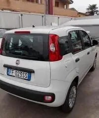 Fiat Panda 1.2 Easy  X NEOPATENTATI Fiat Panda 1.2 Easy  X NEOPATENTATI