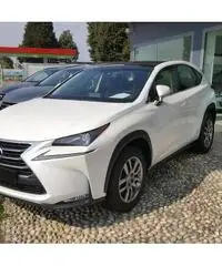 Lexus NX Hybrid 4WD Icon Lexus NX Hybrid 4WD Icon