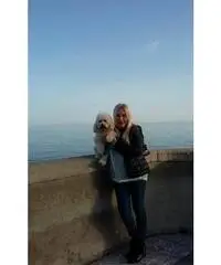 Amore Amore