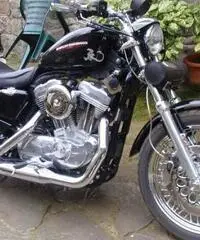 883 low 2007 ie