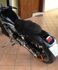 Harley Davidson