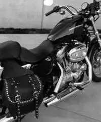 Harley Davidson Sportster 883