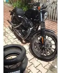 Harley-davidsono 883 iron Harley-davidsono 883 iron