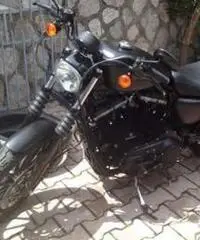 Harley-davidsono 883 iron Harley-davidsono 883 iron
