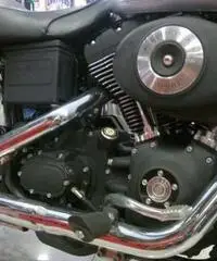 DYNA Sport 1450 Limited Edition DYNA Sport 1450 Limited Edition
