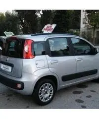 FIAT Panda 1.2 Lounge OK NEOPATENTATI 5 POSTI FIAT Panda 1.2 Lounge OK NEOPATENTATI 5 POSTI