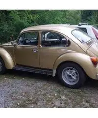Maggiolone serie speciale big bug Maggiolone serie speciale big bug