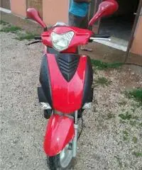 Motorino Motorino