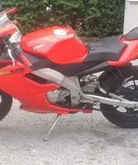 Derbi 125 gpr racing Derbi 125 gpr racing