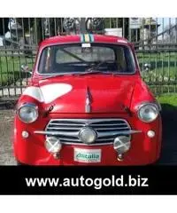 FIAT 1100 1100 TV (VALUTO PERMUTE ) FIAT 1100 1100 TV (VALUTO PERMUTE )