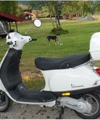 Vespa LX50 Bianco Perla Vespa LX50 Bianco Perla